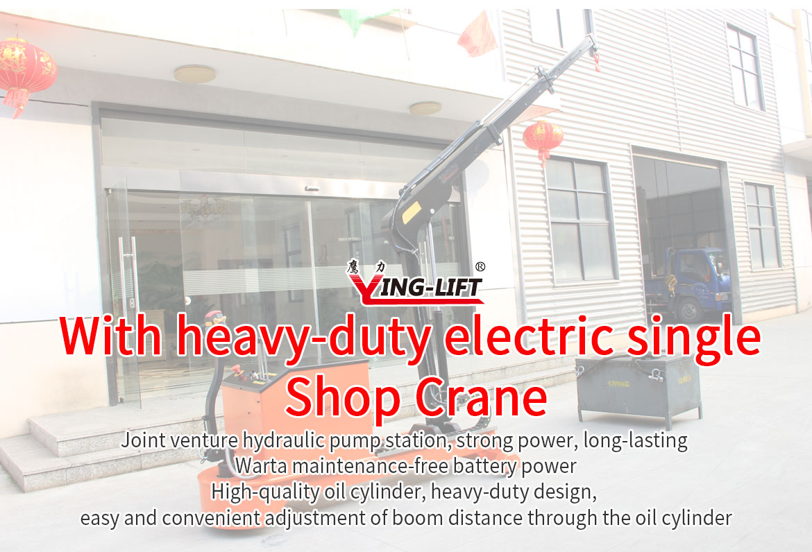 Electric Single Shop Crane